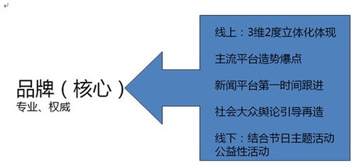 華夏品牌整合營銷運(yùn)營戰(zhàn)略規(guī)劃與項目營銷策劃方案